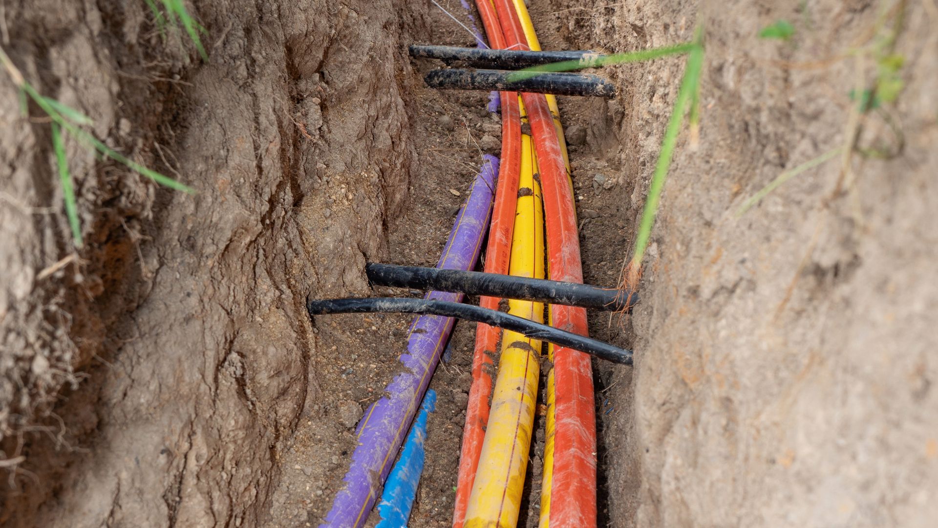 A group of colorful hoses laying on the ground