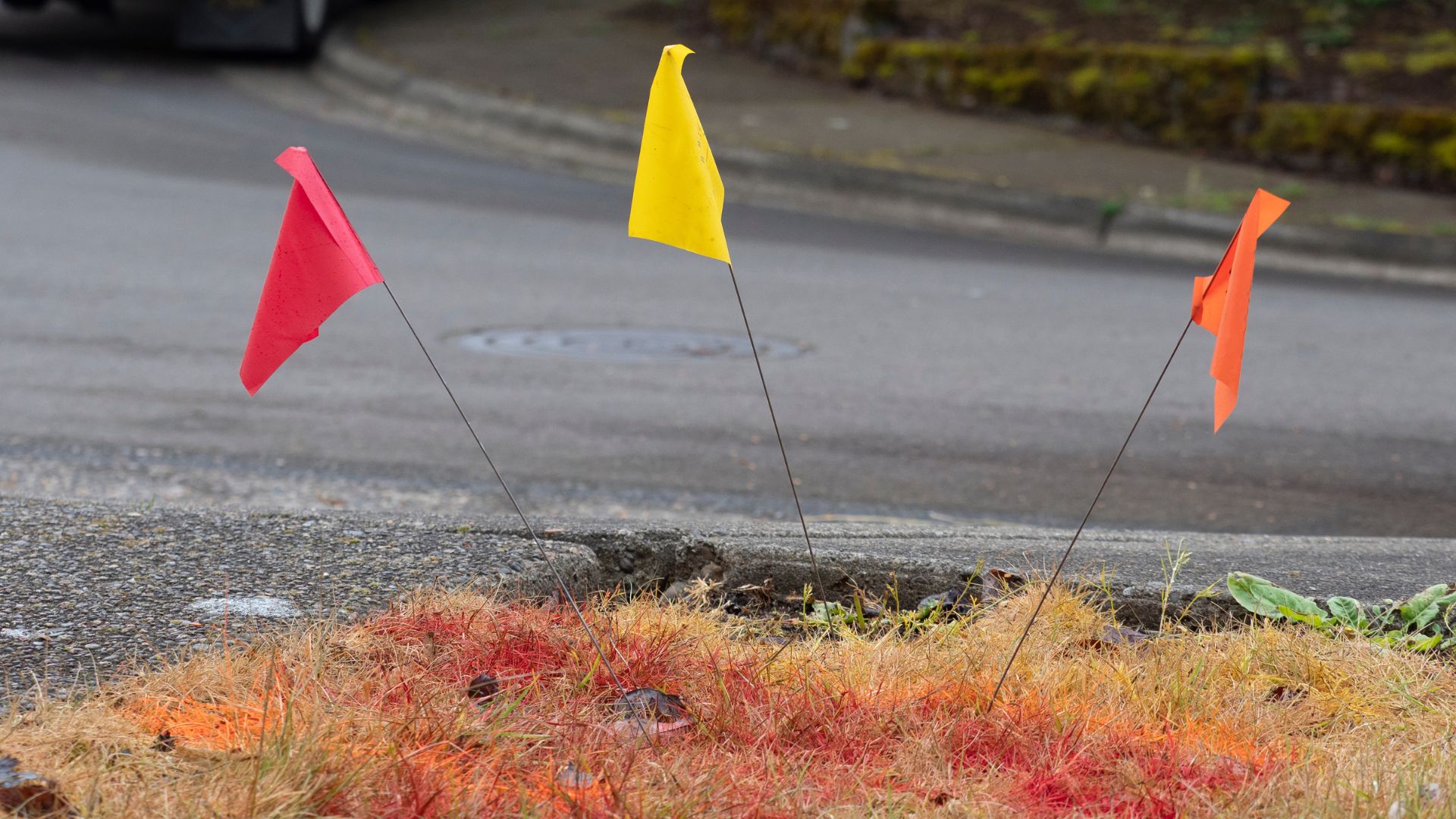 Three flags sticking out of the ground near a street